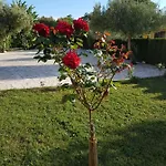 Nikolina